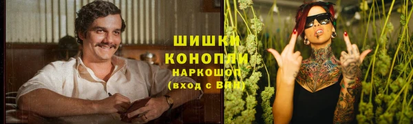 винт Дмитриев