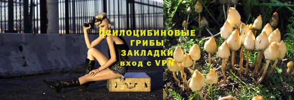 винт Дмитриев