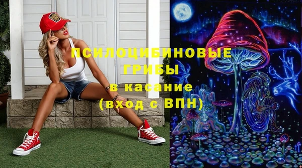 PSILOCYBIN Дмитров