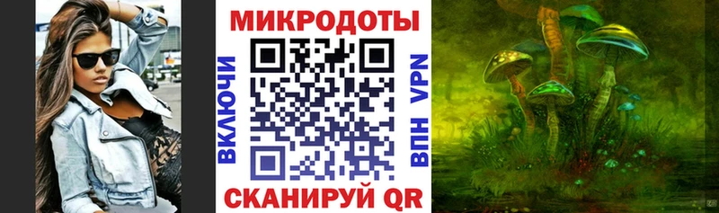 дарнет шоп  Похвистнево  Псилоцибиновые грибы мицелий 