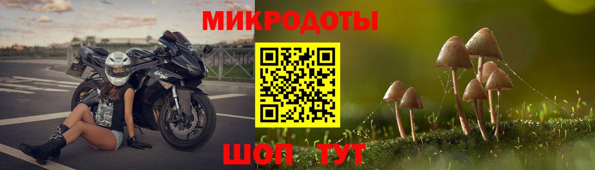 Галлюциногенные грибы Cubensis  Псилоцибиновые грибы ЛСД  Похвистнево  Вход с VPN 